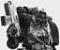 ygg's Avatar