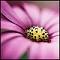 Anchy_srce's Avatar
